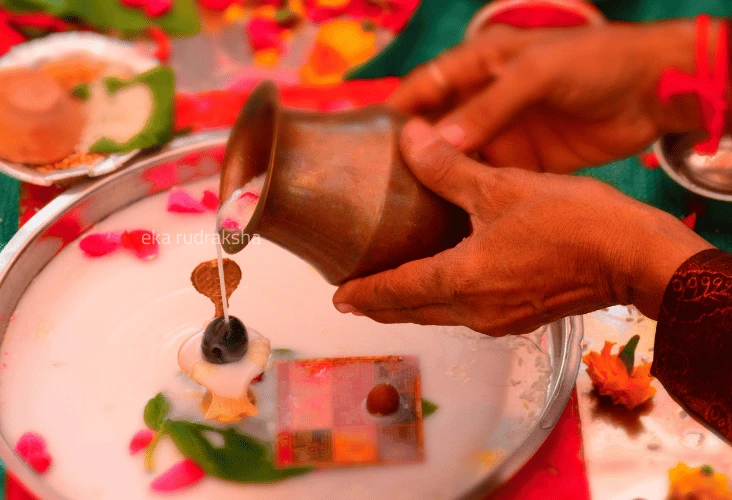 The Significance of Wearing Rudraksha Beads in the Auspicious Month of Shravan