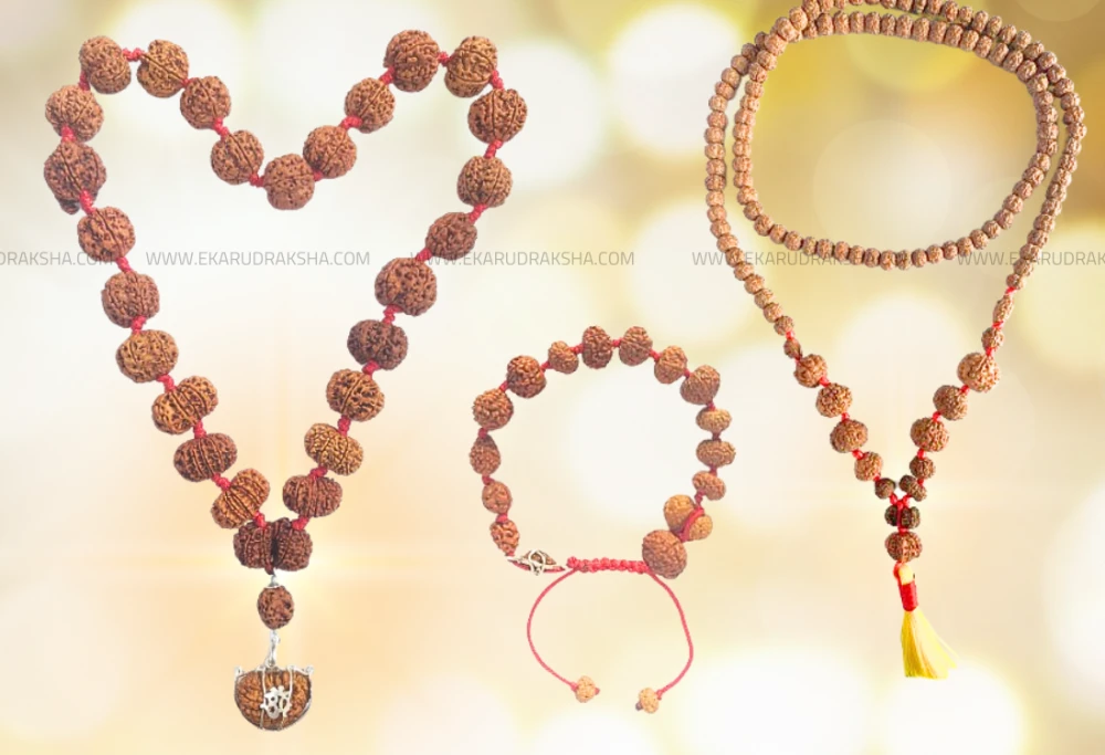 siddha mala rudraksha types