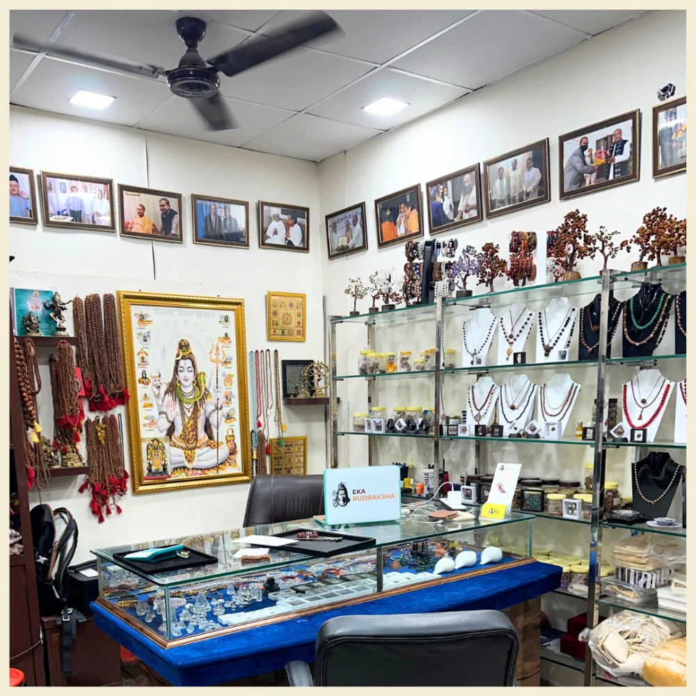 eka rudraksha shop photos