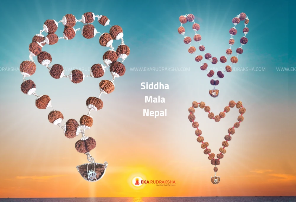 siddha mala rudraksha nepal