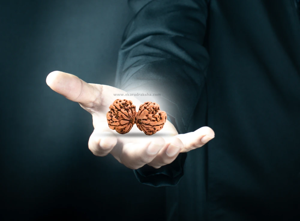 feel the energy of rudraksha