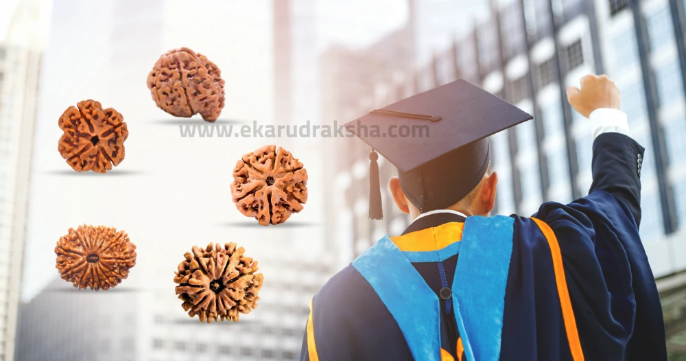 which rudraksha is best for education