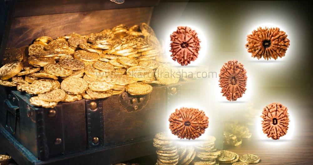 shown 5 types rudraksha which are for wealth