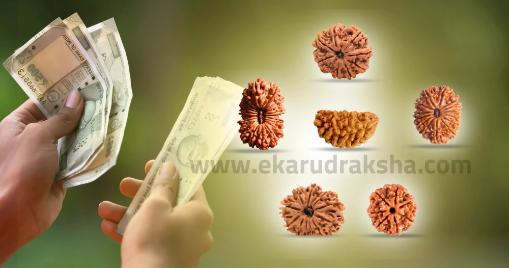 which rudraksha is best for money