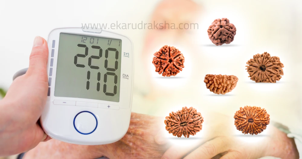 best rudraksha for high BP