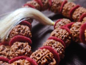 Customized Rudraksha Products