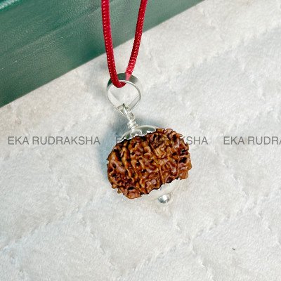 9 mukhi Rudraksha Nepal silver pendant Lab certified confidence power Durga