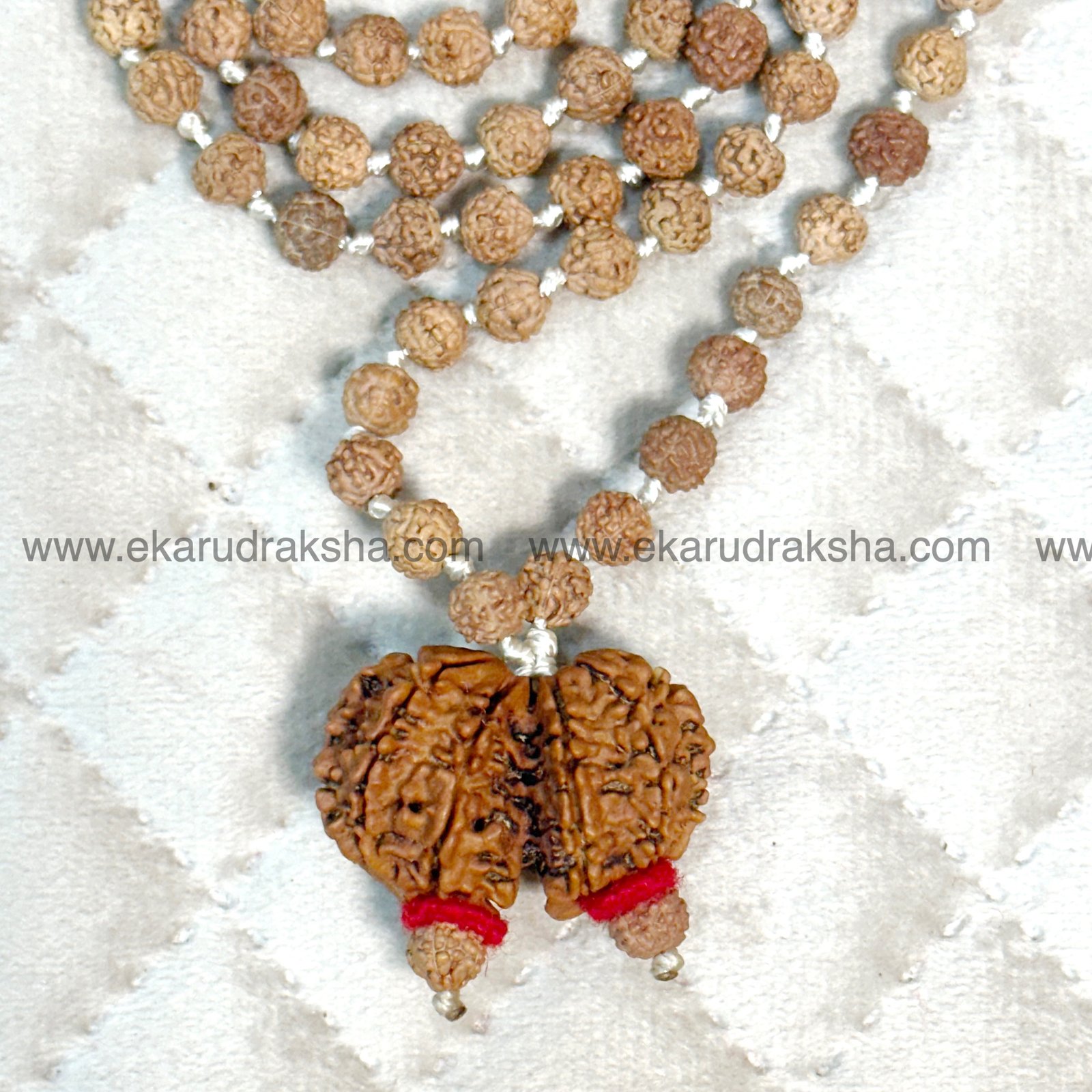 Gaurishankar With Ganesh Rudraksha From outlet Nepal In Silver Pendant Very Rare IGL Certified Shiv Parivar Bead Attached In 5 Mukhi Rudraksha Mala