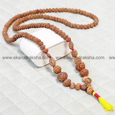 Siddha mala Indonesian 1 Mukhi to 14 mukhi Rudraksha Java mala necklace Lab Certified gaurishanker ganesha in thread