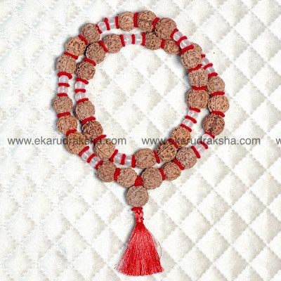 4 Mukhi Rudraksha Nepali Mala Kantha with Sphatika Lab Certified concentration meditation session