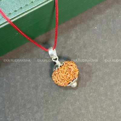 Nepali 8 Mukhi Rudraksha single pendant silver capping design red thread Ganesha luck success rahu relief locket