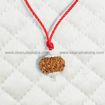 Nepali 10 Mukhi Rudraksha Silver Pendant Lab Certified Vishnu protection negativity evil eye court case relief Locket