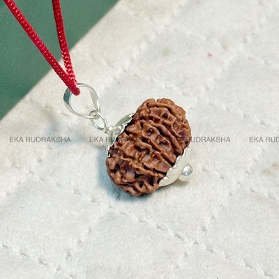 Nepali 12 Mukhi Rudraksha Silver Capping Pendant Locket Name Fame Power Sun Aditya twelve face medium size