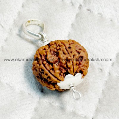 Nepali 6 Mukhi Rudraksha Pendant 925 silver designer Lord murugan balasubramanian creativity intelligence abundance Venus Root muldhara chakra clear locket