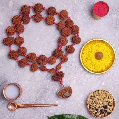 Siddha Mala Rudraksha – Nepal