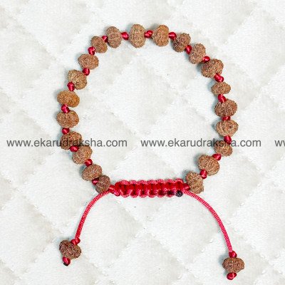 9 Mukhi Rudraksha bracelet Lab Certified Durga adjustable courage confidence Ketu relief Sahrasara Crown Chakra Balance Hand band