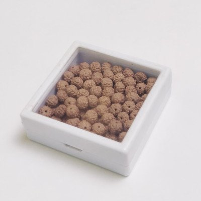 Panchmukhi 5 Mukhi Rudraksha Gold Quality 108 loose beads Premium Box - making in gold silver copper