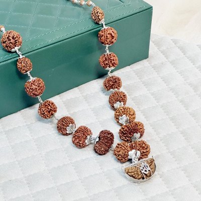 Nepali Siddha mala 1 to 14 Mukhi rudraksha mala in silver Lab Certified Sarva karya Siddhi Necklace