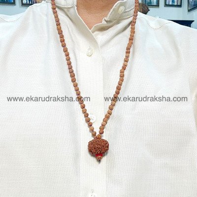 Nepal 10 Mukhi Rudraksha Mala 108 Lab Certified lord vishnu negativity protection Navagraha relief all chakra balance necklace