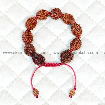 Nepali 3 Mukhi Rudraksha bracelet lab Certified Agnidev tridev Good health stress free Mars balance Manipura solar plexus chakra blockage clear hand band