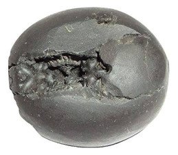 Original Vamana Avatar Shaligram