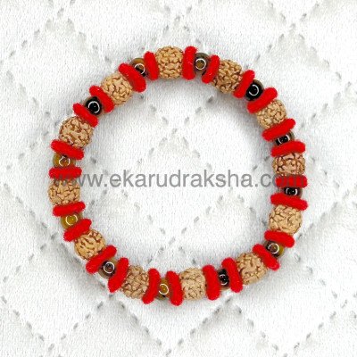 5 Mukhi Rudraksha tiger eye bracelet Lab Certified Overall balance protection