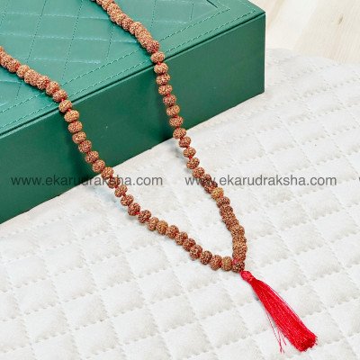 7 Mukhi Rudraksha Mala 108 beads lab Certified necklace for japa wearing laxmi wealth