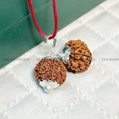 7, 8 mukhi Nepal rudraksha combination for Career Financial growth Success in work studies Saturn rahu relief pendant