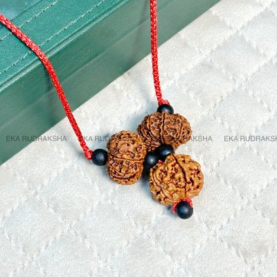 Success Collector 5, 11, 12 Mukhi Nepali Rudraksha Large Pendant Combination mala necklace with karungali Growth money Mars Sun Hanuman Pendant