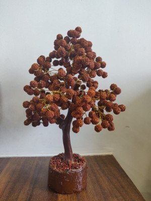 5 Mukhi rudraksha healing tree vastu dosh tree