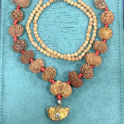 Nepal Siddha mala 1 mukhi to 14 mukhi rudraksha mala Lab Certified in thread with small beads in back