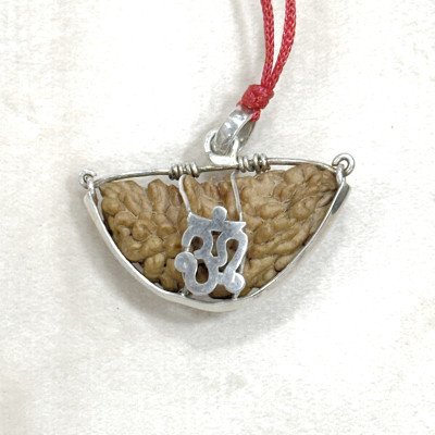 1 mukhi rudraksha silver pendant eka original certified pure om design