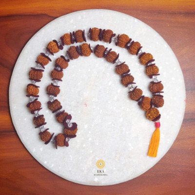 Mahalaxmi 7 mukhi Rudraksha Kantha - Nepal