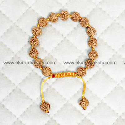 6 Mukhi Rudraksha bracelet Certified Murugan subramanian swamy Memory Intelligence Creativity Venus Swathisthana sacral chakra balance hand band