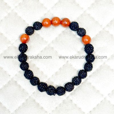 Black 5 Mukhi rudraksha Red Jasper bracelet stamina courage protection growth lord shiva muldhara root chakra clear hand band