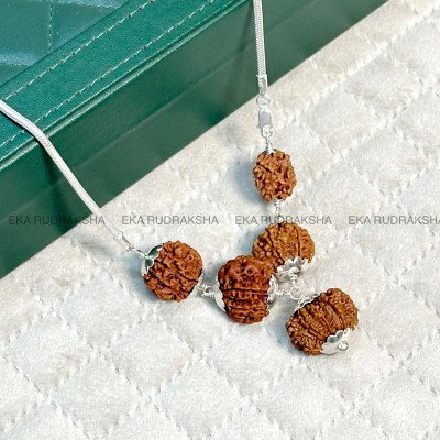 Wealth, Prosperity & Success Rudraksha Combination – 2,4,7,8,12 Mukhi Nepali Beads with Silver Capping Chain Necklace Mala