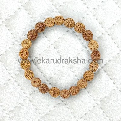 4 Mukhi Rudraksha Bracelet Lab Certified beads Memory Study Concentration Saraswati