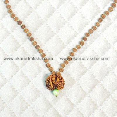 Collector Nepal 5 Mukhi rudraksha extra large rare mala Lab Certified Lord Shiva blessings meditation high thinkers necklace