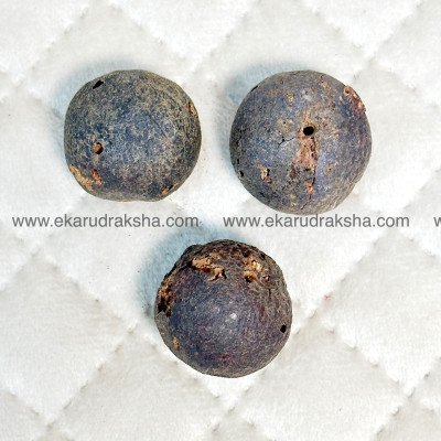 Nepali Rudraksha fruit dry phal black cover self discovery set of 3 beads Lord Shiva blessings