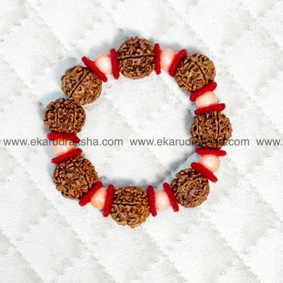 Confidence 6 Mukhi Nepal Rudraksha Coral Pavalam bracelet Lab Certified Murugan Bala Subramanian knowledge wisdom