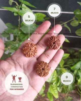 Rudraksha combination for winners 9 mukhi 7 mukhi 5 mukhi Nepali authentic beads health weath confidence kavach